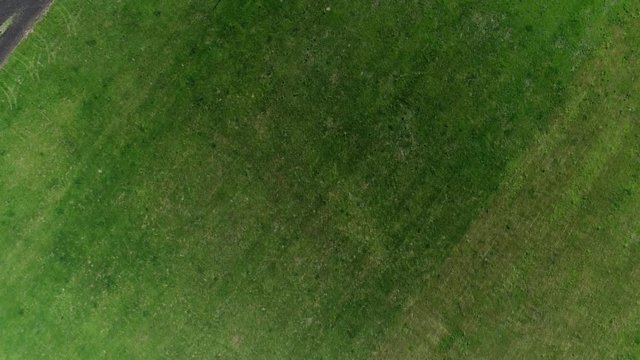 Flight over green and black agricultural fields in Russia