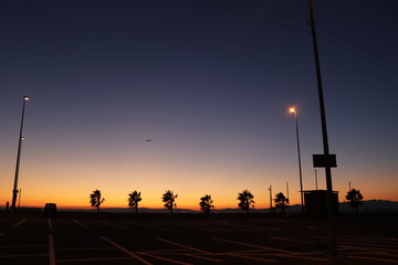 ヤシの木と夕陽