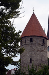 Fototapeta premium Grey tower with red roof in Tallinn, Estonia