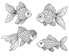 Set of the different linear goldfishes