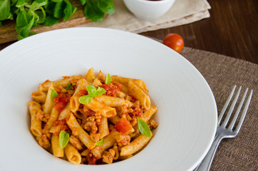 Penne pasta