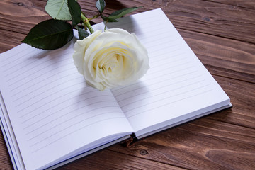 Romantic poetry. Empty notebook with white luxury rose