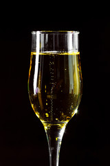 Champagne glass on black background
