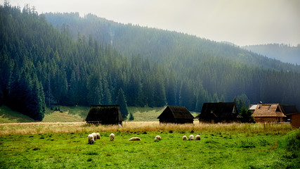 Fototapety na wymiar - Fototapeta24.pl