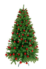 Christmas Tree isolated on white background