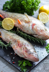 fresh raw carp fish