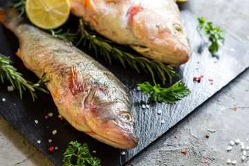 fresh raw carp fish