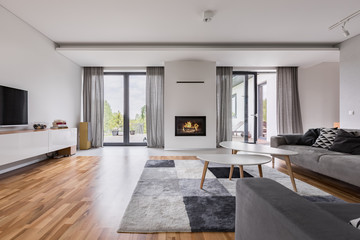 Elegant living room with fireplace