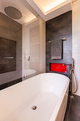Modern bathroom with bathtub