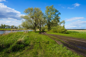 Fototapeta premium The road through the summer field to the trees by the river.
