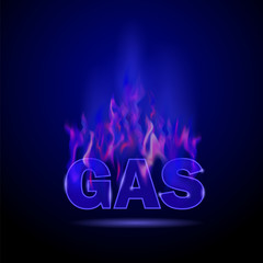 Gas Burning Fire