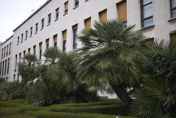 Fototapeta na wymiar Rome, Italy - March 15, 2015 : Palazzo degli Uffici building