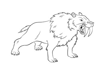 Angry Saber Tiger Drawing Vector