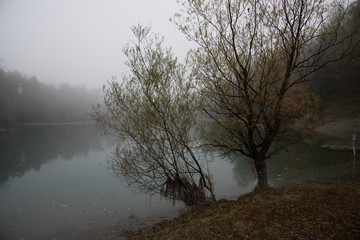 Obraz na płótnie Canvas Landschaften im Nebel (Sommer)
