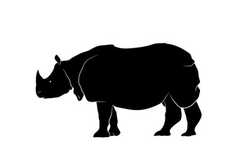 Rhino Silhouette Vector