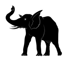 Elephant Silhouette Vector