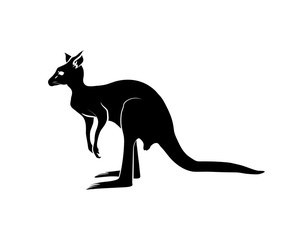 Kangaroo Silhouette Vector