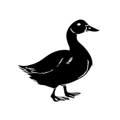 Duck Silhouette Vector