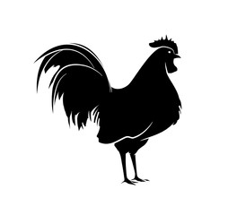 Rooster Silhouette Vector