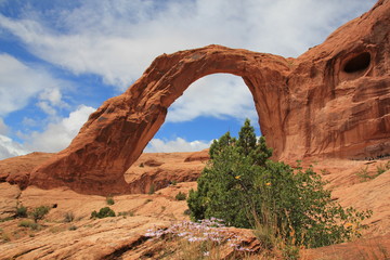 USA Utah Corona Arch