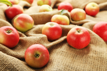 Ripe and sweet apples on sackcloth