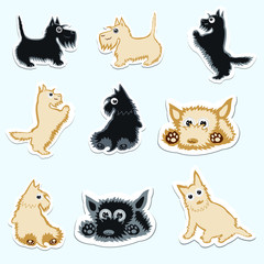 Funny set stickers of Scotch Terrier cute vector characters. Vector illustrations of dog character.