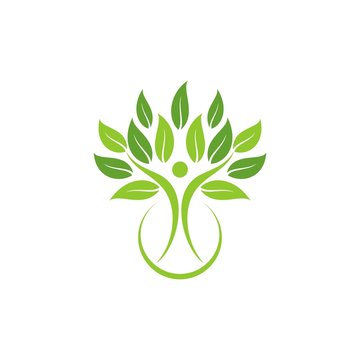 Leaf logo, tree logo, leaf figure logo design template vector illustration
