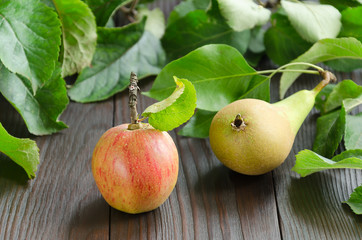 Apple and pear on dark wooden background
