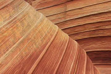 USA Arizona Coyote South Butte The Wave