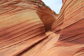 USA Arizona Coyote South Butte The Wave