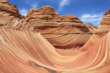 USA Arizona Coyote South Butte The Wave