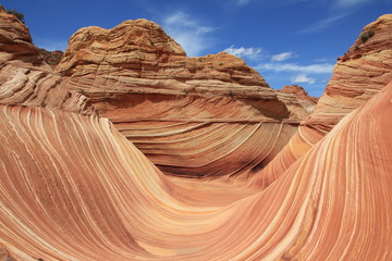 USA Arizona Coyote South Butte The Wave