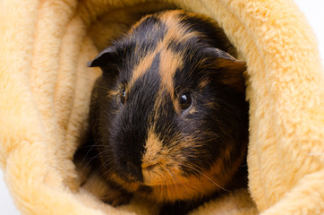 gem&uuml;tlich zuhause...