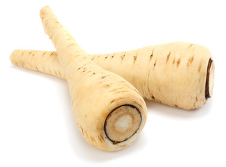 Parsnip isolated on the white background close up