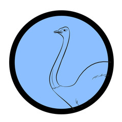 Ostrich Bird Profile Picture Vector