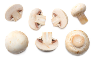 mushrooms isolated on white background. top view