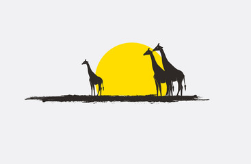 Wild Giraffe Walking in Field in Sunrise Time Vector