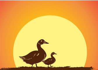 Duck Birds Silhouettes in Sunrise Vector