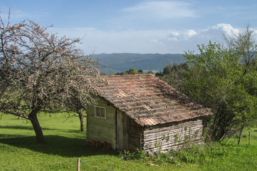 Spring mountain view, Bulgaria