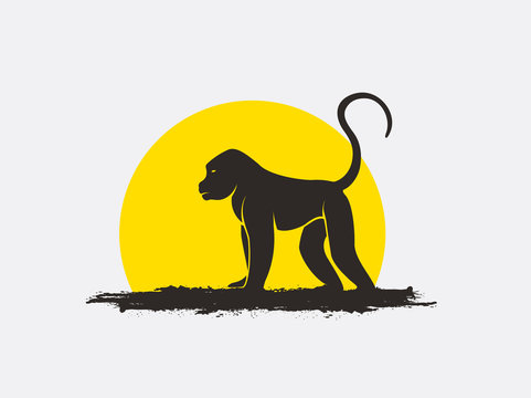 Wild Monkey Silhouette in Sunlight Vector