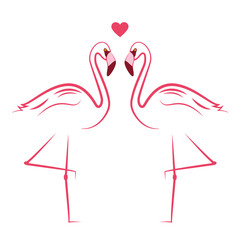 zwei pinke flamingos