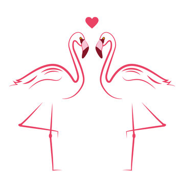 zwei pinke flamingos