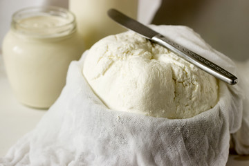 Homemade dairy products: cottage cheese, sour cream and milk on a white background. Style rustic.