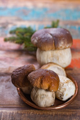 Wild edible raw mushrooms Boletus Edulis, tasty ingredient for many vegetarian dishes, close up..