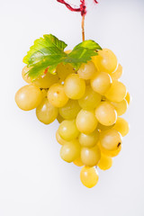 Bunch of large organic table white grapes