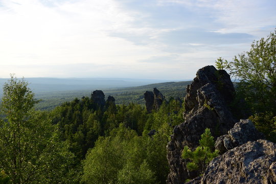 Голуби и вороны