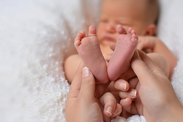 Newborn's tiny feet close in mother's hands