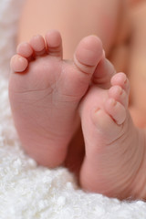 Cute tiny newborn feet close