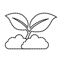 leafs plant isolated icon vector illustration design