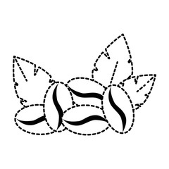 coffee seeds with leafs vector illustration design